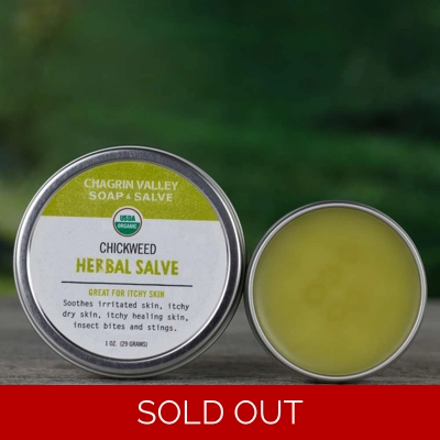 Chickweed Herbal Salve